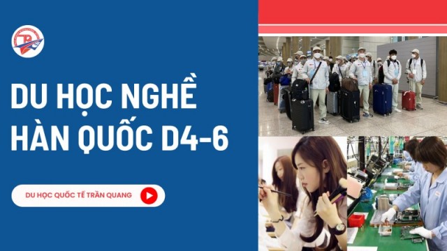 Du học nghề Hàn Quốc D4-6 là gì? Cơ hội học nhanh – làm sớm tại Hàn Quốc